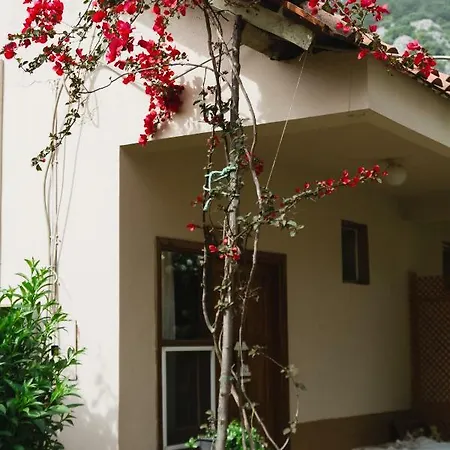 Village Garden Homestay